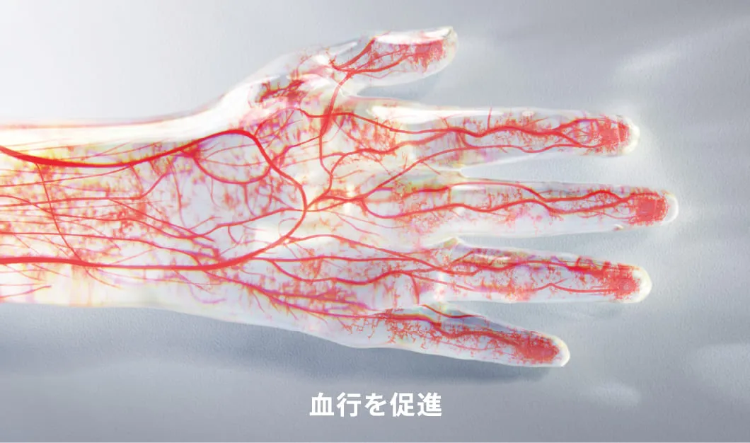 血行を促進
