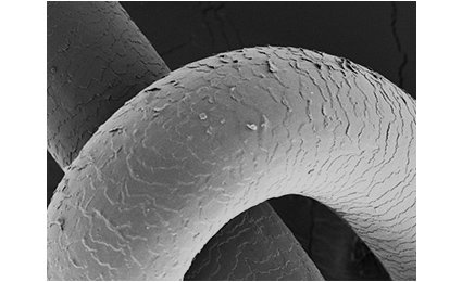 水蒸気爆発を受けた髪