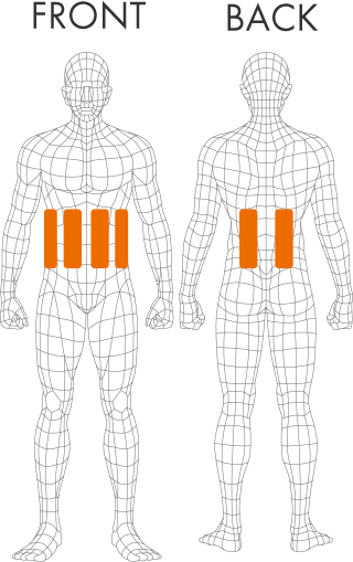 腹直筋、腹斜筋、広背筋（下部）、脊柱起立筋（下部）