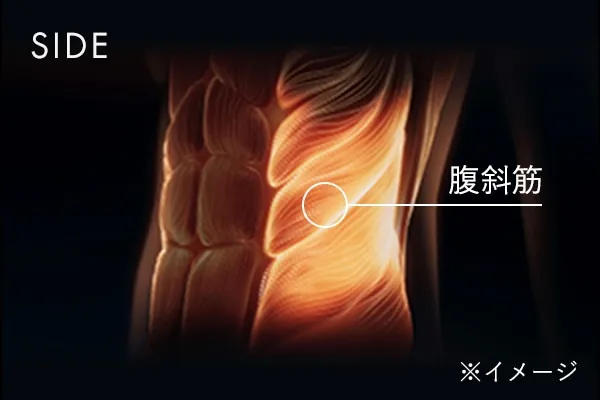 SIDE 腹斜筋