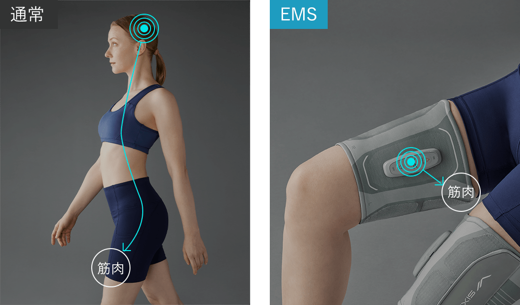 電気刺激によって筋肉をトレーニングするテクノロジー。それがEMSです。