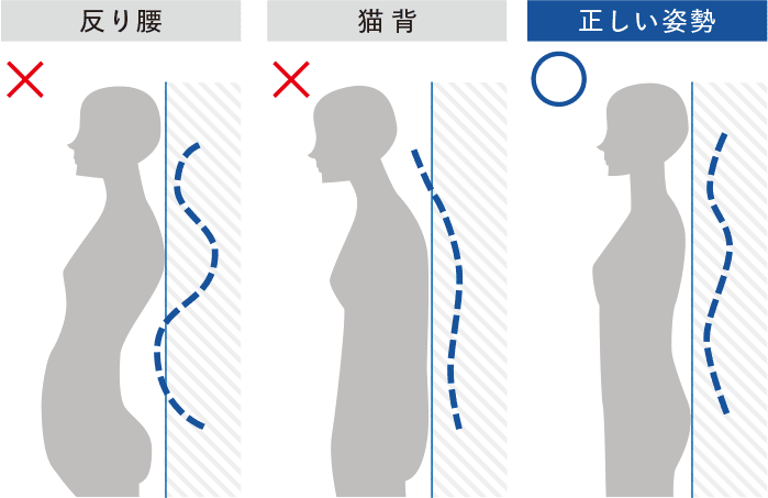 反り腰× 猫背× 正しい姿勢○