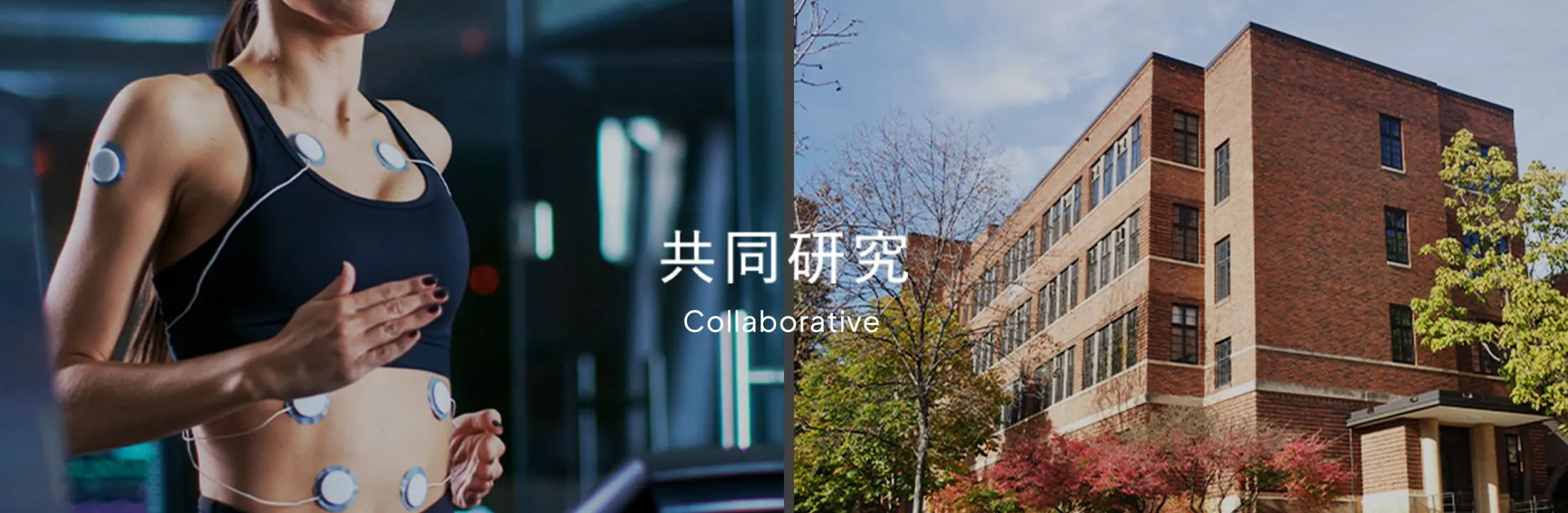 共同研究 Collaborative