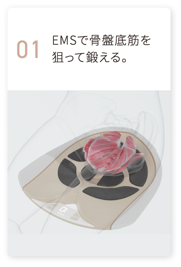 EMSで骨盤底筋を狙って鍛える。