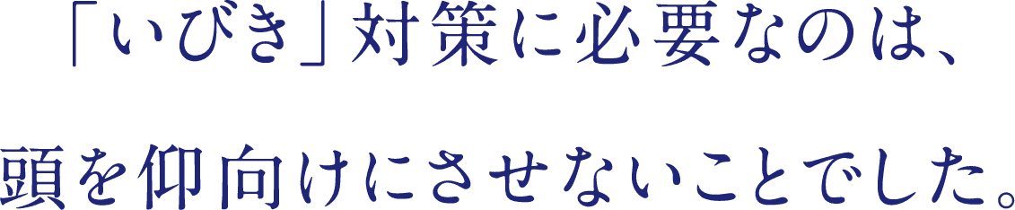 いびき対策に必要なのは、頭を仰向けにさせないことでした。