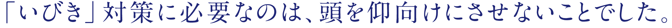 いびき対策に必要なのは、頭を仰向けにさせないことでした。