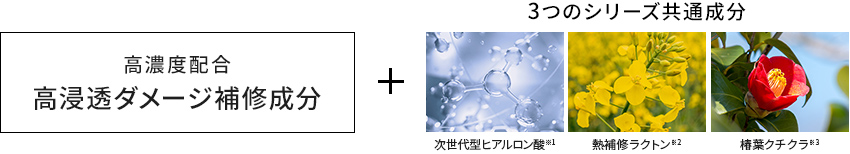3つのシリーズ共通成分