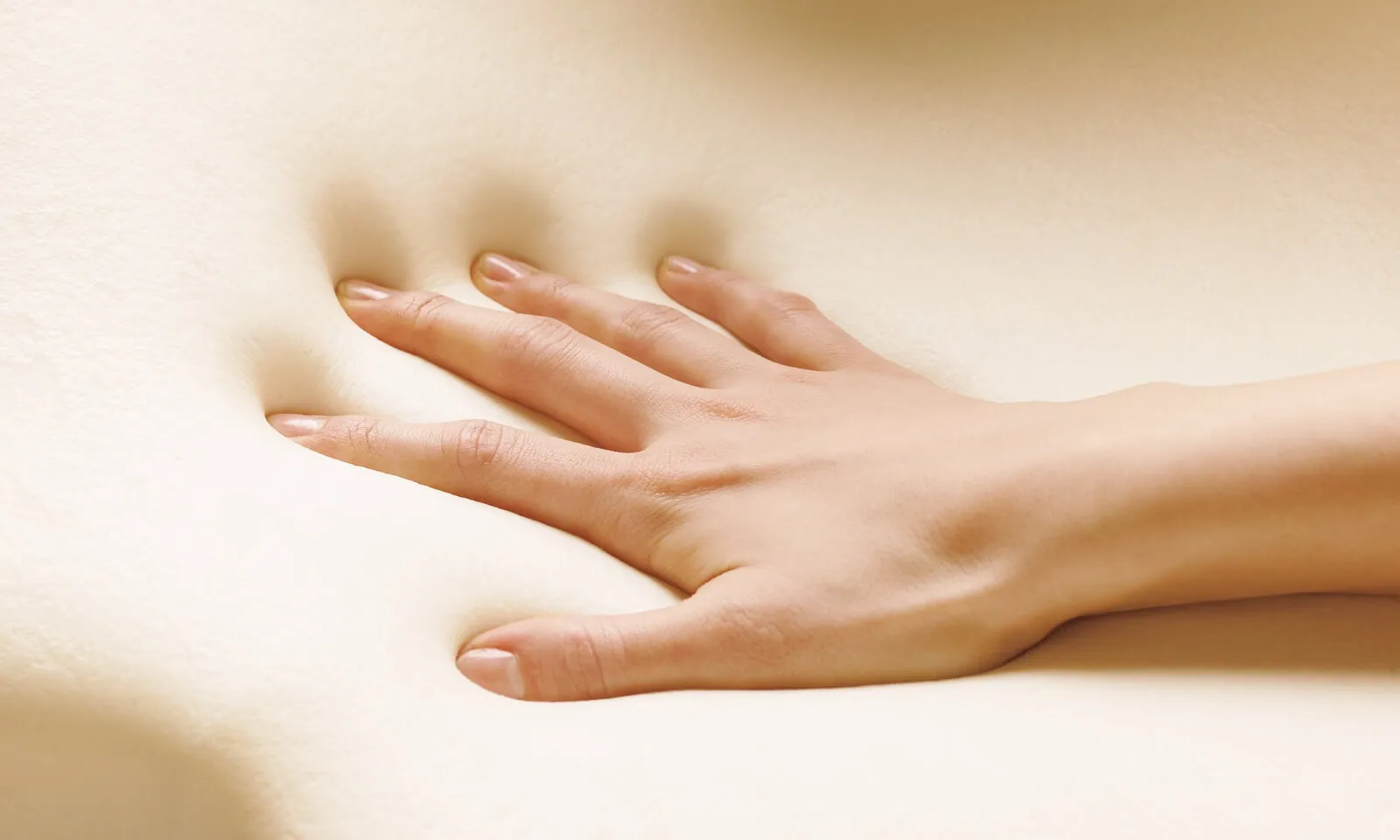 特性の異なる2種のウレタンが上質な座り心地を実現